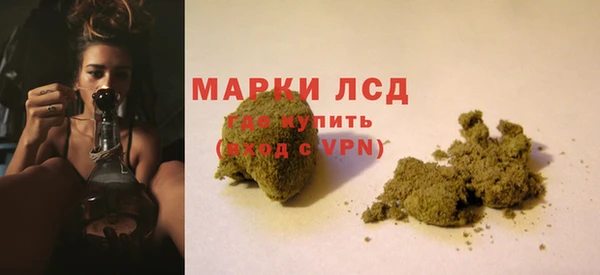ГАЛЛЮЦИНОГЕННЫЕ ГРИБЫ Алексеевка
