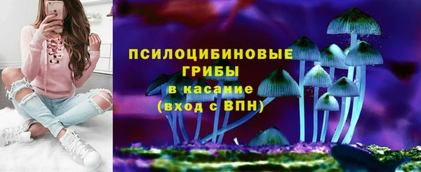 мяу мяу мука Алзамай